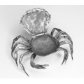 depose bijoux din argint: "Crab". argint. atelier italian